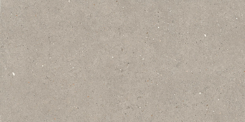 LA FAENZA SUITE STONE Argent612 Неглазурованный керамогранит купить недорого в интернет-магазине Сквирел LA FAENZA SUITE STONE Argent612 Неглазурованный керамогранит купить недорого в интернет-магазине Сквирел