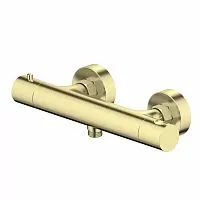 Aquatek ЕВРОПА AQ1363BG Смеситель для душа