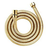 WasserKRAFT  A010BG Шланг