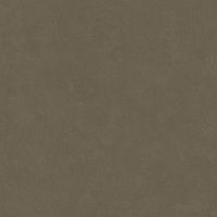 LEONARDO 1502 CODE CdDove120 Неглазурованный керамогранит