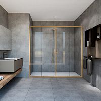 Vincea Garda VDS-1G2170CLG Душевая дверь