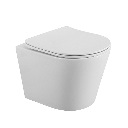 BelBagno FLAY-R BB053CHR/SC Унитаз подвесной, чаша