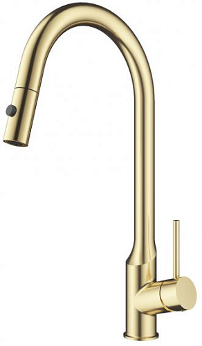 Wonzon & Woghand  WW-A21252-BG Смеситель для кухни