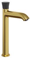 Paini 18PJ205PZLL Domus Смеситель для раковины, без донного клапана, высокий, брашированное золото