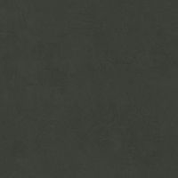 LEONARDO 1502 CODE CdCoke60 Неглазурованный керамогранит