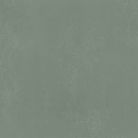 IMOLA CERAMICA MYCRO Mycro120MgRm Неглазурованный керамогранит