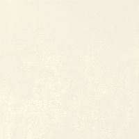 IMOLA CERAMICA MYCRO Mycro60WxRm Неглазурованный керамогранит