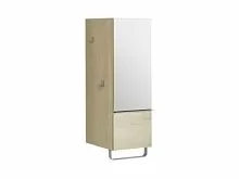 Jacob Delafon Odeon EB893G-N18 Шкаф купить  в интернет-магазине Сквирел
