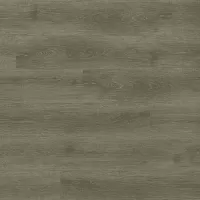 FineFloor ECORICH NOX-2079 Кварцвиниловая клеевая плитка NOX-2079 Дуб Мариенберг в Сквирел