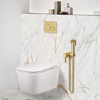 Vincea  VHFW-1101BG Гигиенический душ