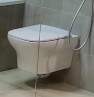 Сет №10Мск_EDM102-00, Унитаз подвесной + E20142-00, Сиденье для унитаза с мягким закрыванием