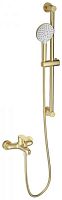 Wonzon & Woghand  WW-AE3205-BG Смеситель для ванны с душевым гарнитуром