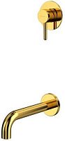 Whitecross Y gold YSET03GL Смеситель скрытого монтажа