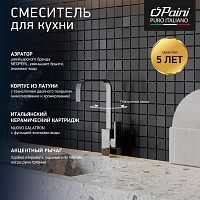 Paini DAX-DAXR 84CR572RKM Смеситель для кухни