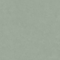 LEONARDO 1502 CODE CdFog120 Неглазурованный керамогранит