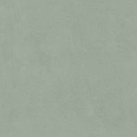 LEONARDO 1502 CODE CdFog60 Неглазурованный керамогранит