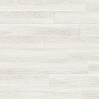 Adelar Solida Acoustic 400087431 Плитка SPC в Сквирел