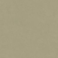 LEONARDO 1502 CODE CdArgil120 Неглазурованный керамогранит