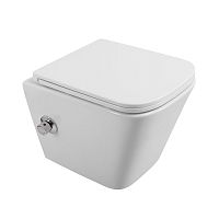 BelBagno  BB3103CHR-BS/SC Унитаз подвесной, с функцией биде