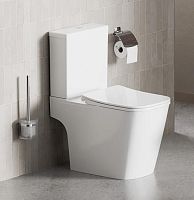 Damixa Titan DX78C8601SC Унитаз