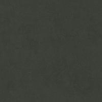 LEONARDO 1502 CODE CdCokeR60 Неглазурованный керамогранит