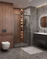 Cezares MOLVENO MOLVENO-BF-1-120-C-GM-IV Душевая дверь в нишу