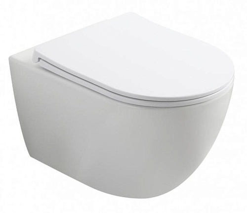 Wonzon & Woghand Nile WW-UP2210-GW Унитаз подвесной Wonzon & Woghand Nile WW-UP2210-GW Унитаз подвесной