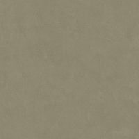 LEONARDO 1502 CODE CdBronze120 Неглазурованный керамогранит