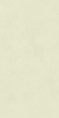 LEONARDO 1502 CODE CdExtwhite36 Неглазурованный керамогранит купить недорого в интернет-магазине Сквирел