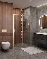 Cezares MOLVENO MOLVENO-BF-1-120-C-BORO-IV Душевая дверь в нишу