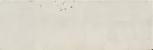 Ape Tennessee TennesseeWhite5.2X16.1 Плитка купить в интернет-магазине Сквирел