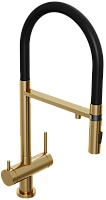 ABELSBERG Venta IXF73979BG Смеситель для кухни