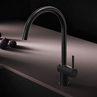 AM.PM FUNC F8F07022 Смеситель для кухни