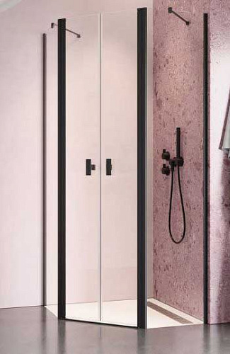 Radaway  10051000-54-01 Душевая дверь