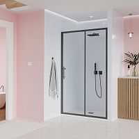 Veconi Evo E1-GR-120-01-C9 Душевая дверь купить недорого в интернет-магазине Сквирел