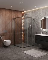 Cezares MOLVENO MOLVENO-A-22-100+20-C-GM-IV Душевой уголок