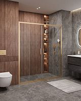 Cezares MOLVENO-BF-2-170-C-BORO-IV Душевая дверь в нишу