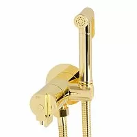 Migliore 31558 Fortis Гигиенический набор душевой, золото