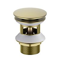 Aquatek  AQ6002BG Донный клапан