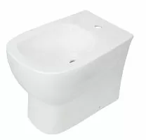 Sanita Luxe BD.FS/Infinity/C/WHT.G/S1 Infinity/Quadro Биде напольное 37х55 см, ВКС белый S1