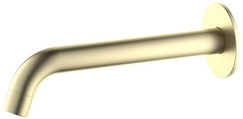 Aquatek ЕВРОПА AQ1341BG Излив для ванны