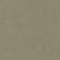 LEONARDO 1502 CODE CdBronze60 Неглазурованный керамогранит