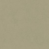 LEONARDO 1502 CODE CdArgilR60 Неглазурованный керамогранит