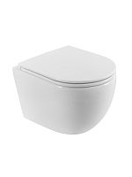 BelBagno  BB003CH-TOR/SC Унитаз подвесной, без ободка
