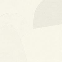 LEONARDO 1502 ARTWORK Artw120WRm Неглазурованный керамогранит