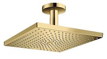Hansgrohe Raindance 26250990 Верхний душ