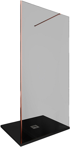 Allen Brau INFINITY 3.21018.60.T Душевая перегородка
