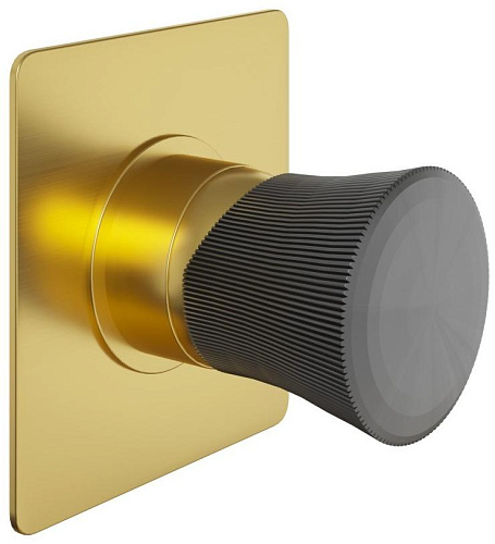 Paini 18PJ690PZ Domus Смеситель для душа, встраиваемый, брашированное золото PVD (PJ) Paini 18PJ690PZ Domus Смеситель для душа, встраиваемый, брашированное золото PVD (PJ)