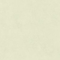 LEONARDO 1502 CODE CdExtwhite60 Неглазурованный керамогранит