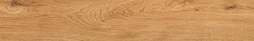 Bottega Feelwood B71032_FlwdCognacRet 20x120 Глазурованный керамогранит купить в интернет-магазине Сквирел